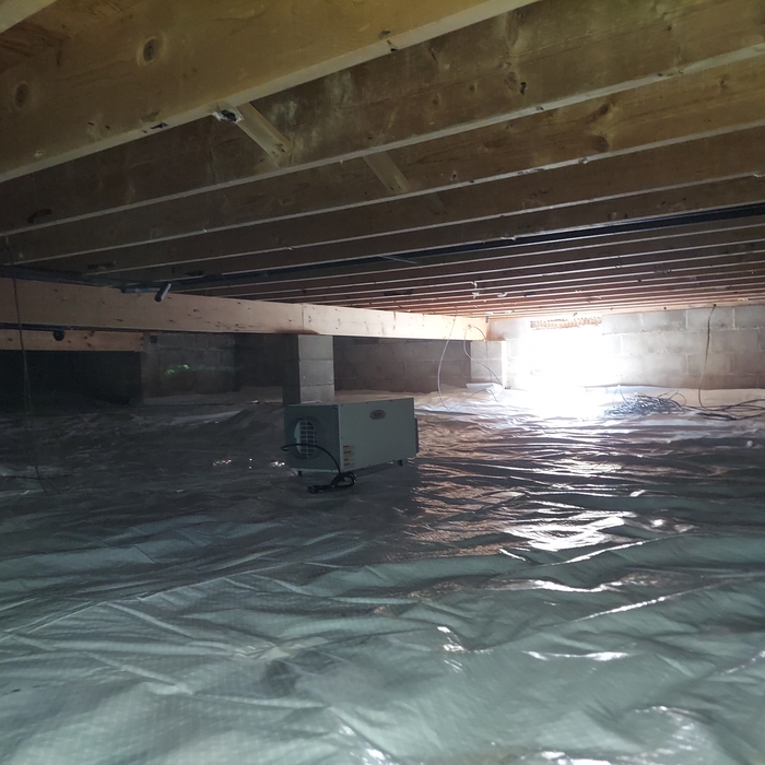 Crawlspace