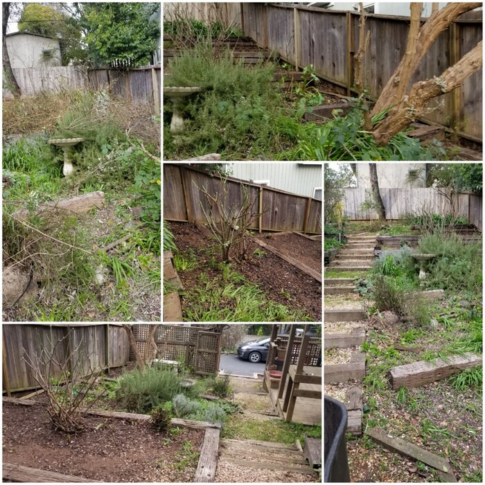 fall cleanup