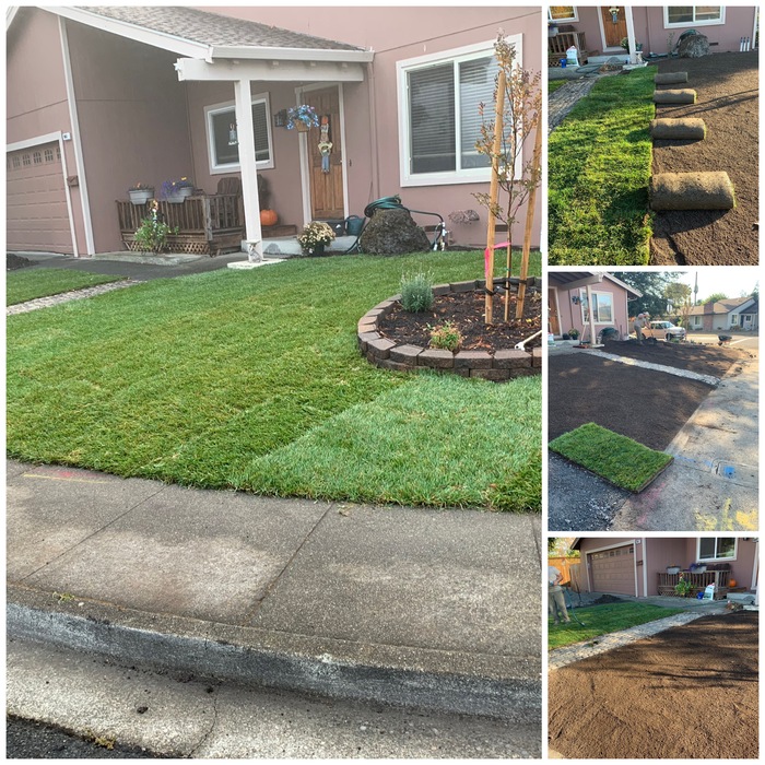 Sod Installation