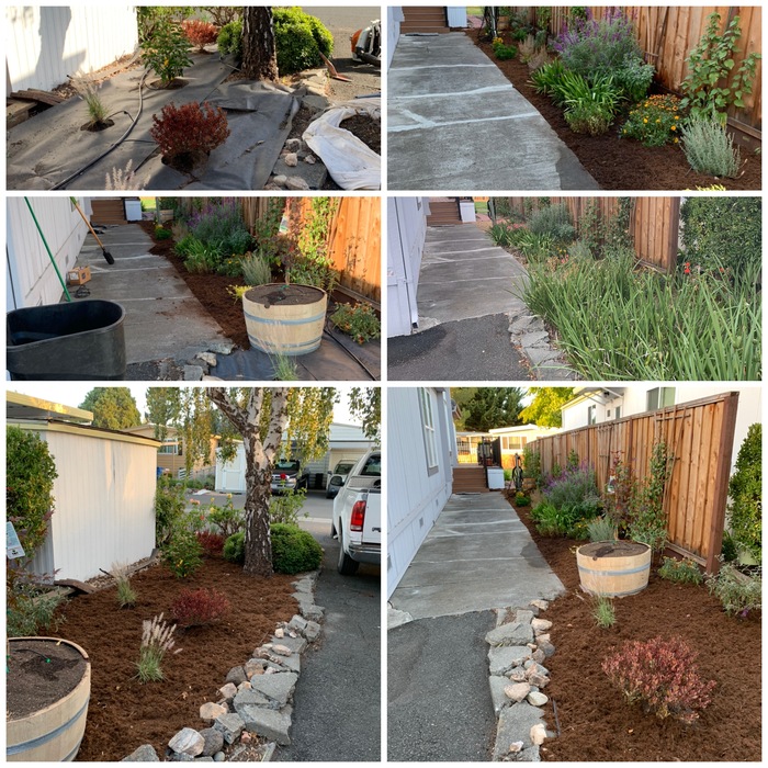 Bark installation