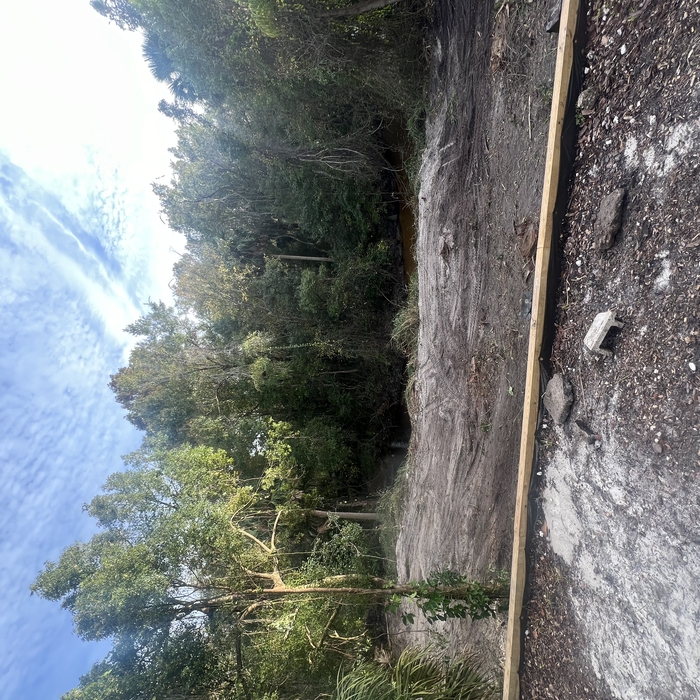 Land clearing