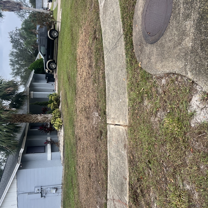 Stumps removed