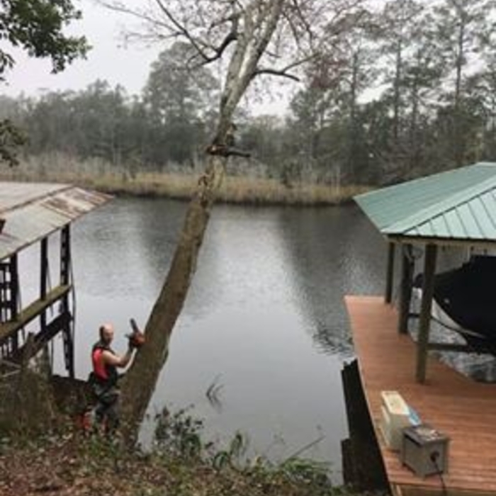Dropping this tree right in between 2 boat docks