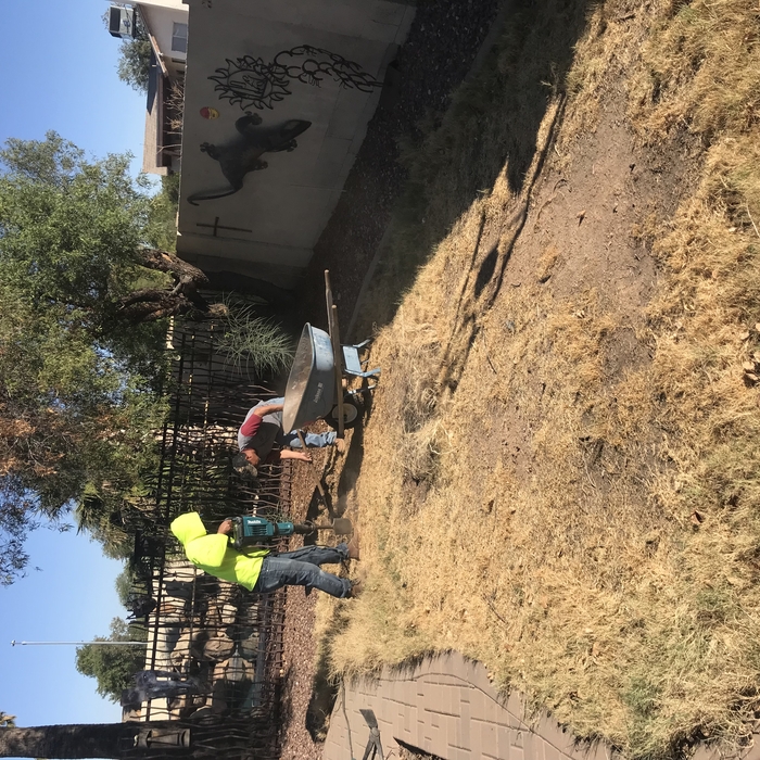 Artificial Turf Job