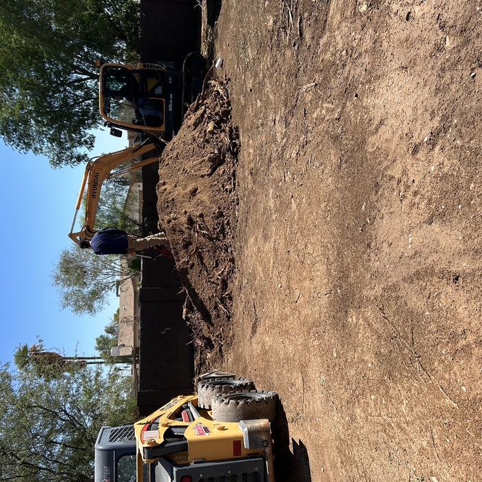Back yard renovation
