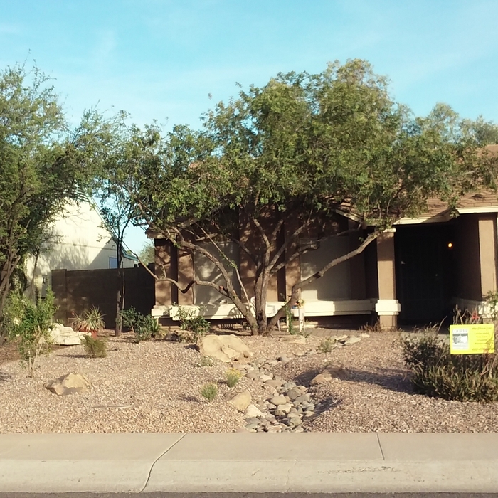 Front Yard  - After