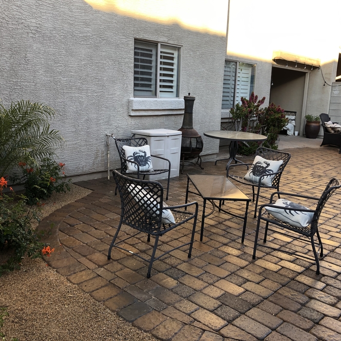 Back Yard After Renovation
