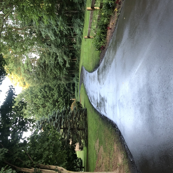 Next to turnaround towards top of driveway.