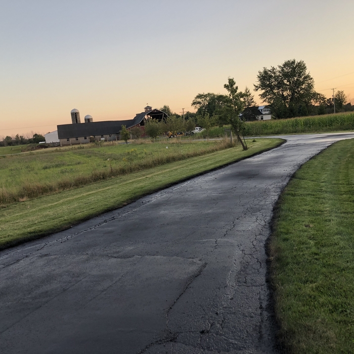 Driveway back to barn