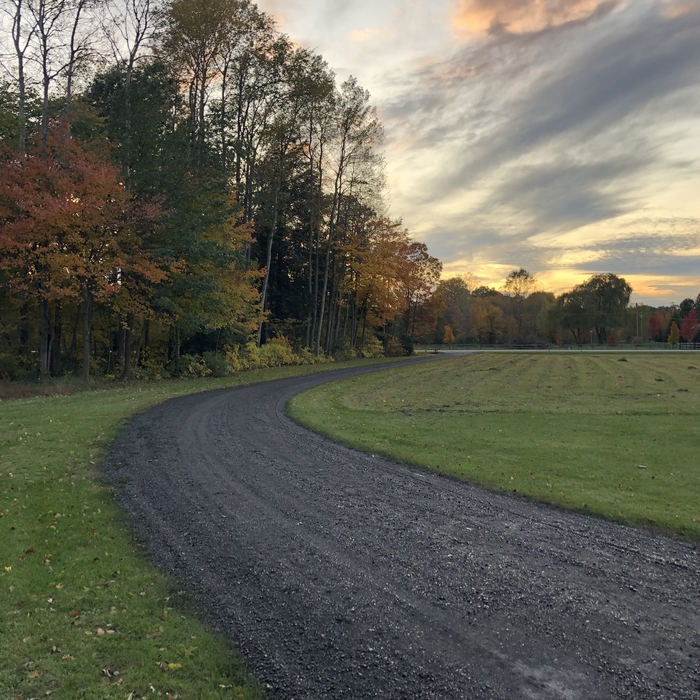 Drive to road