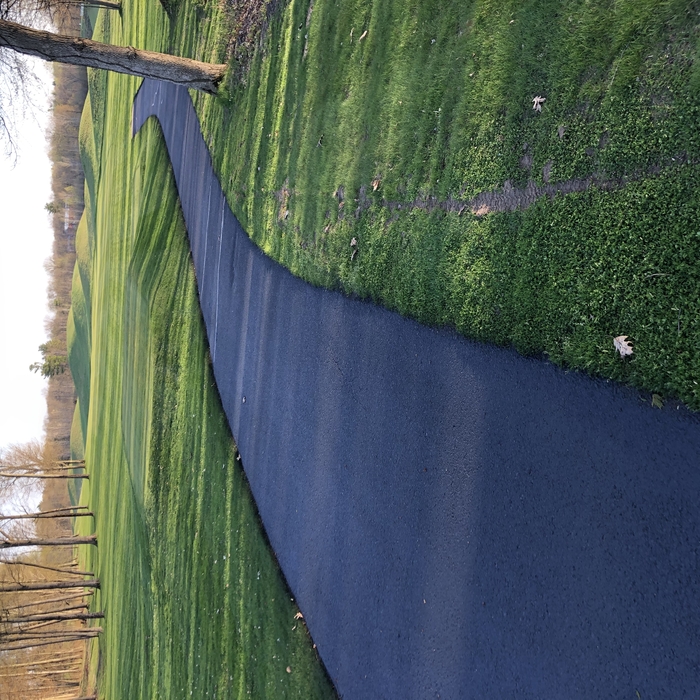 Cart path