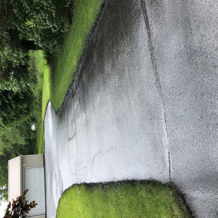 Seal driveway