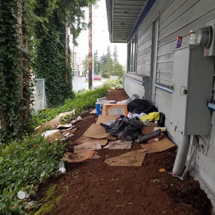 Needles and waste