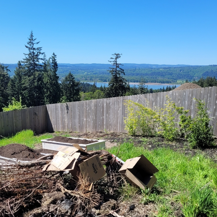 Before Site