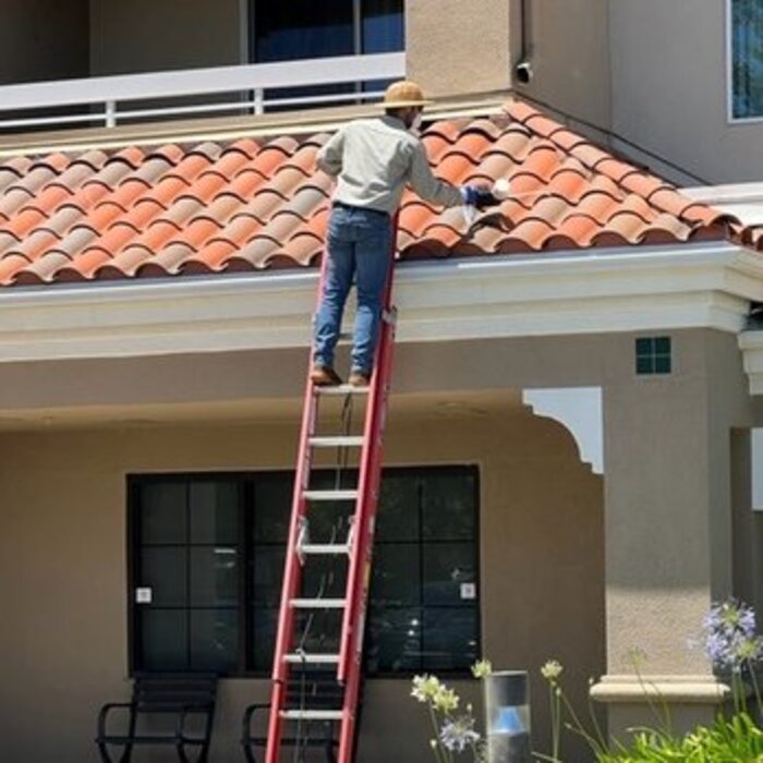 Yellow Jacket Nest Eradication