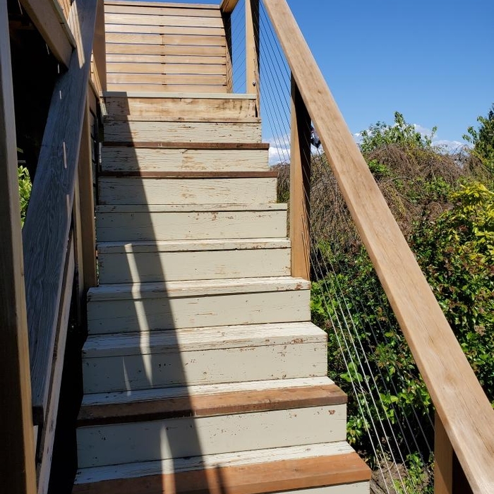 Deck Refinishing