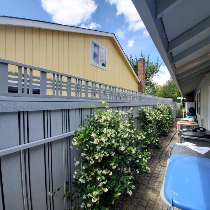 Trellis Installation &amp; Paint