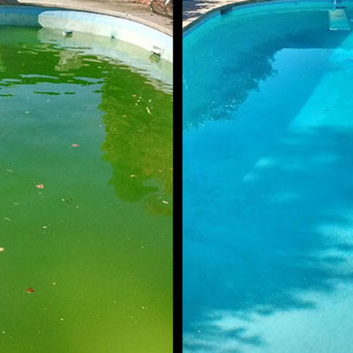 Before &amp; After Green to Clean