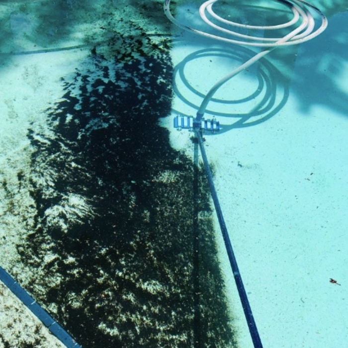 Vacuuming a Dirty Pool After a Storm