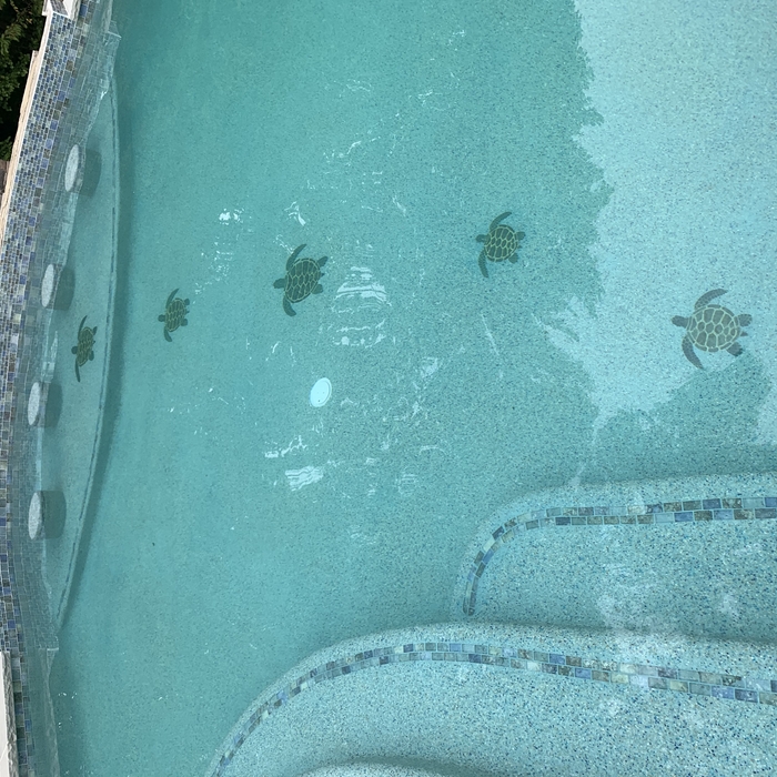 Free Form w/ In-pool bar and mosaics