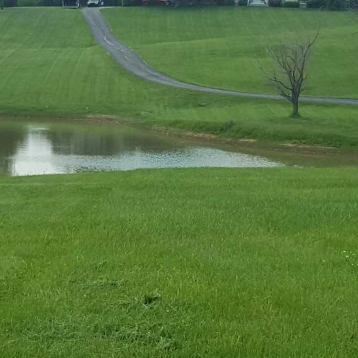 Residential Lawn Service