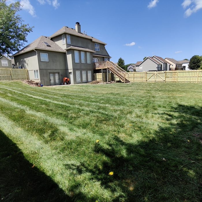 Fence Rebuild