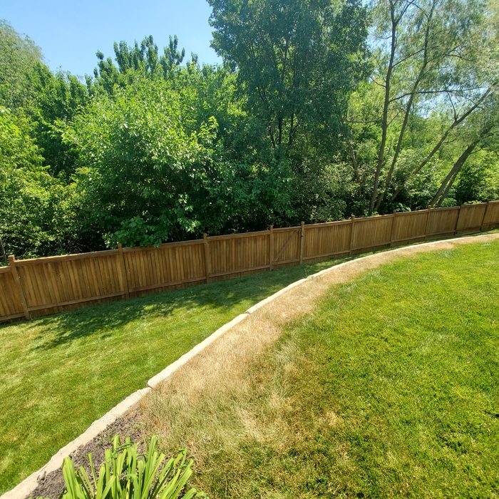 Deck and Fence