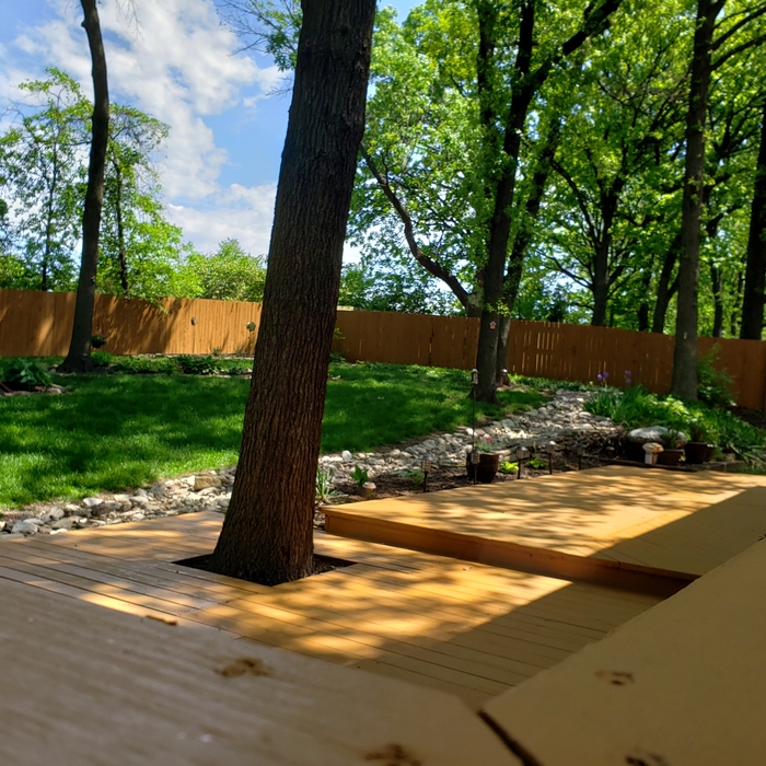 Staining of Deck and Fence