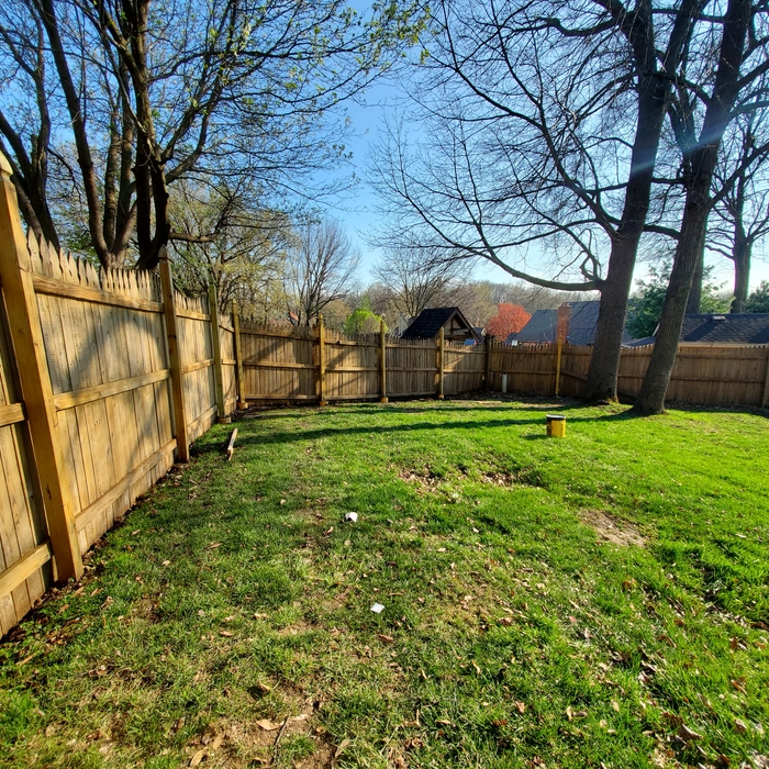 Fence Staining