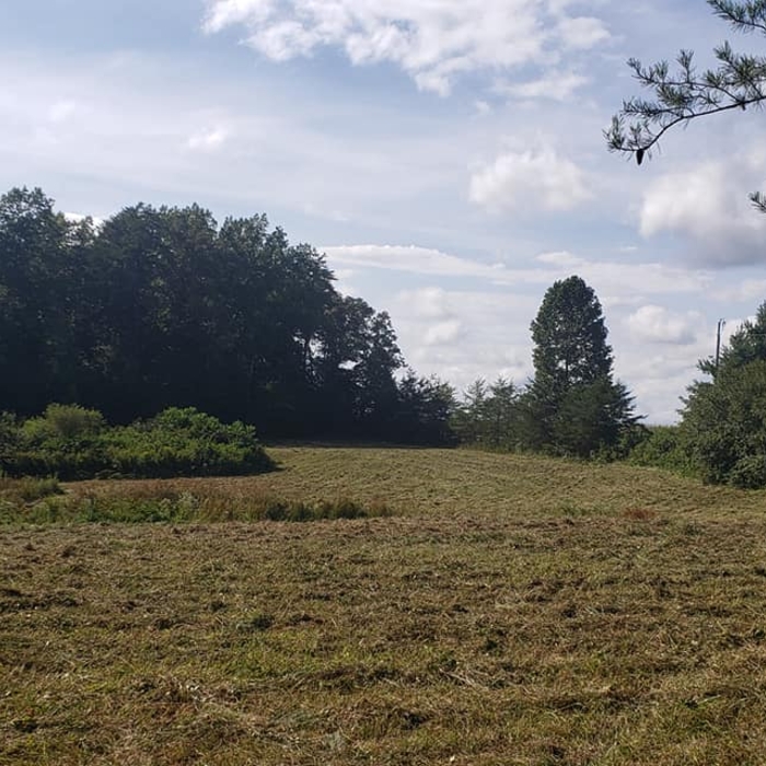 Field
