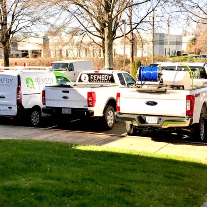 Remedy Pest Control