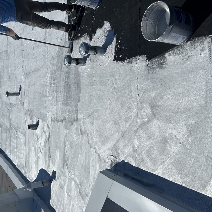Coated roof