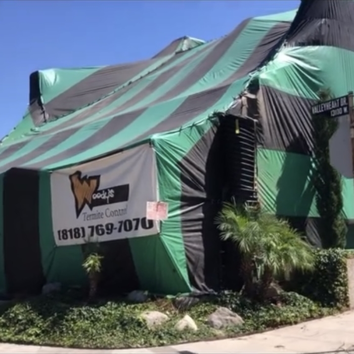 Fumigation