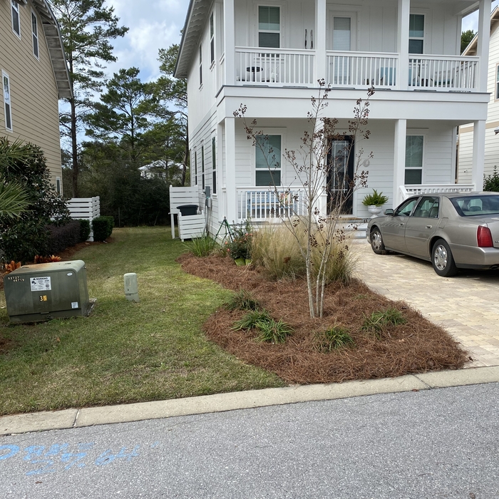 Plant and Pinestraw install