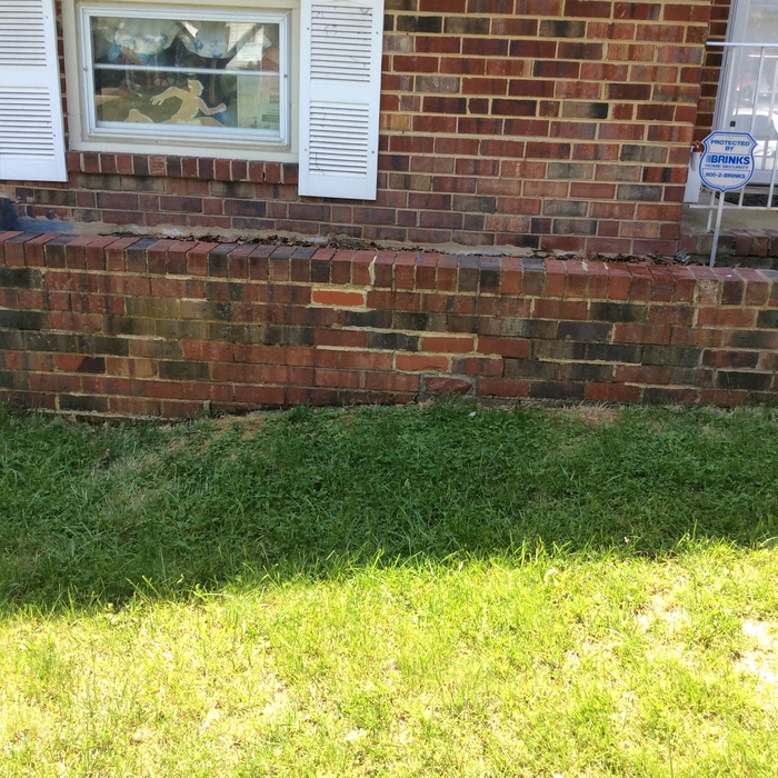 Flower Bed