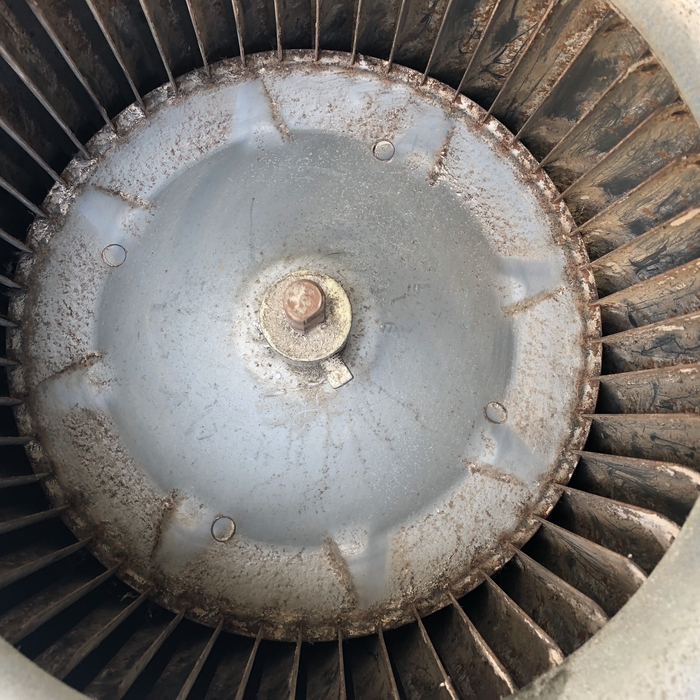AFTER BLOWER REMOVAL AND A GOOD SCRUB.