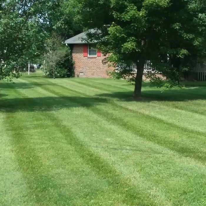 Yard on Hwy. 76 in Portland