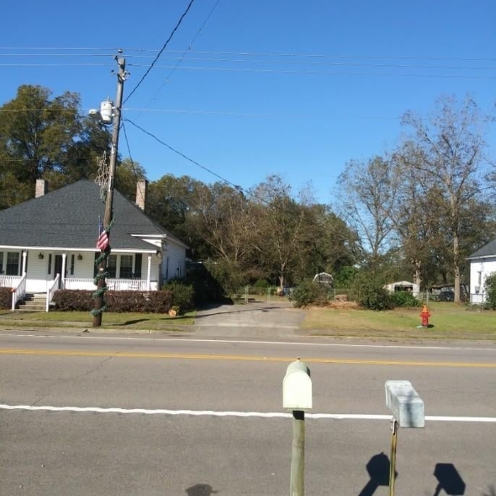 Pecan Tree Removal