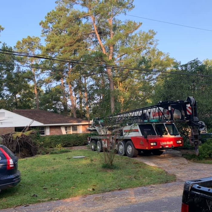 Carolina Tree Trimmer