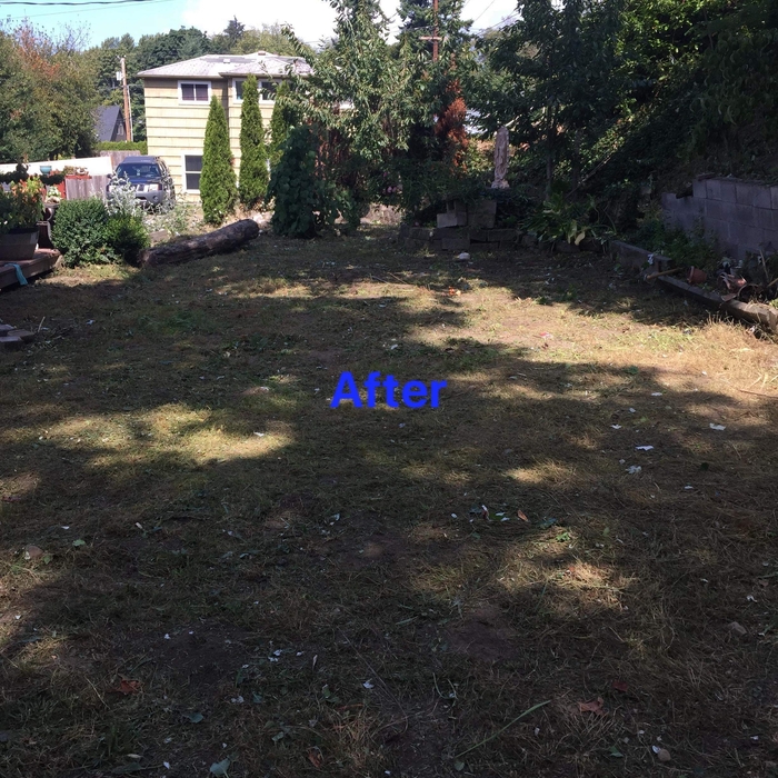 Cleanup done