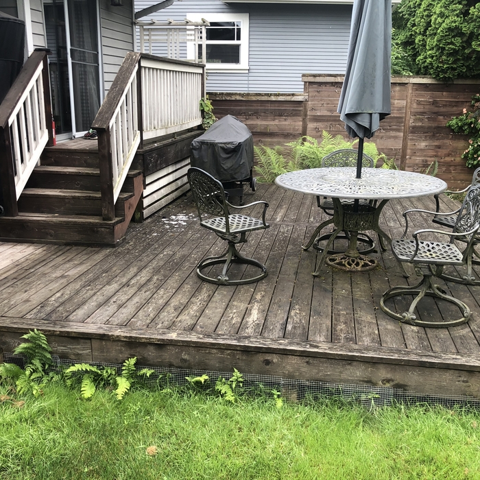 Deck before restoration