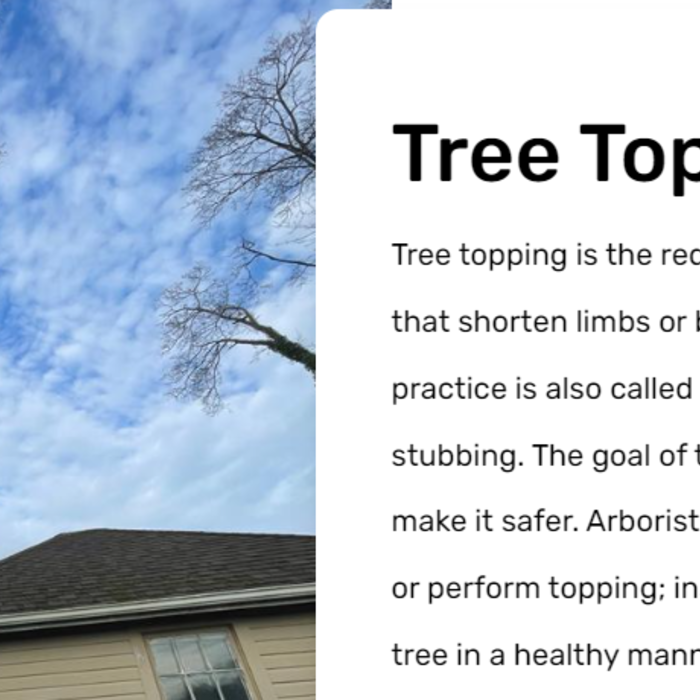 Tree Topping