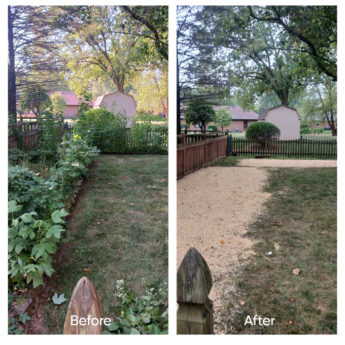 Before &amp; After