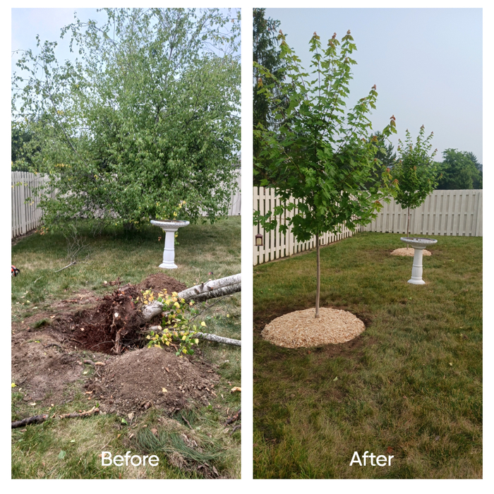 Before &amp; After