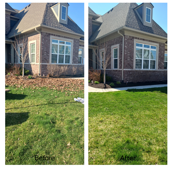 Before &amp; After