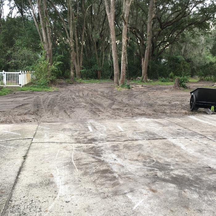 completion of grading project minus stump removal