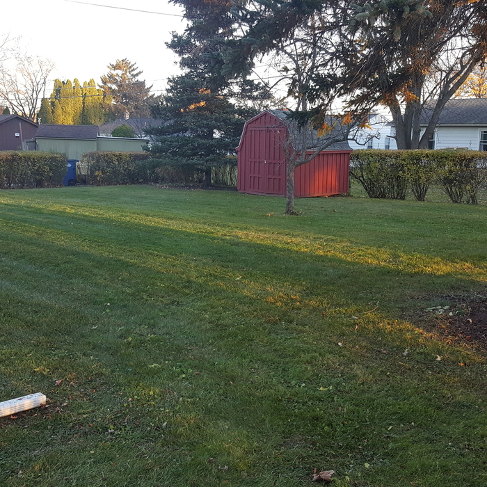 Leaf cleanup