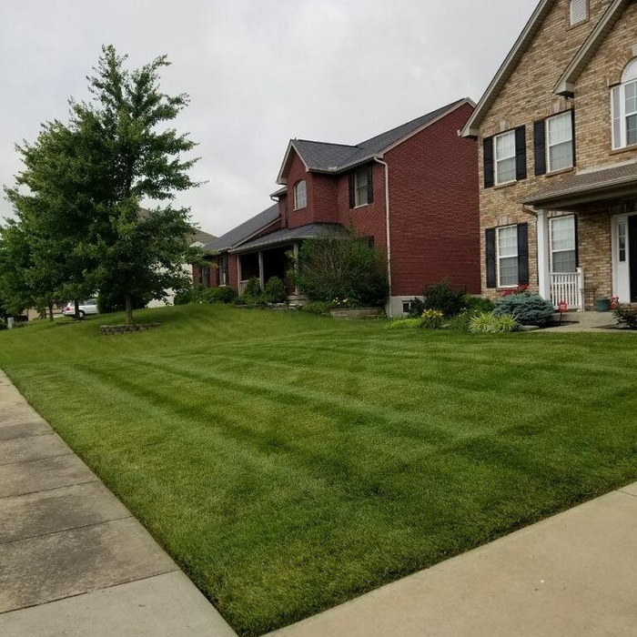 Cross Pattern Stripes