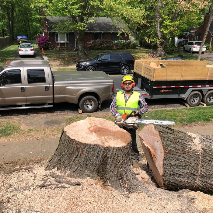 JD TREE SERVICE
