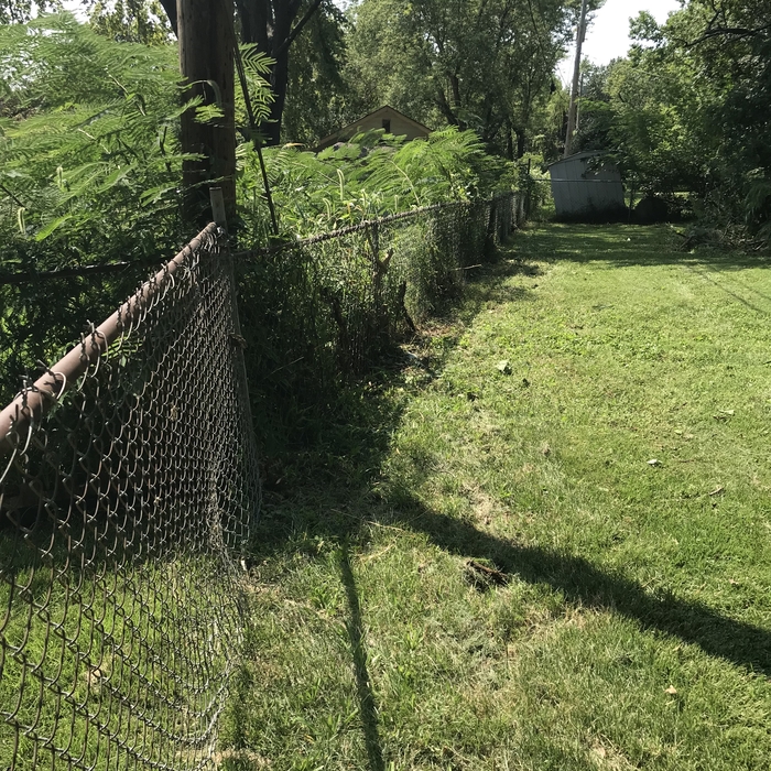 After Fence Line Clean-Up